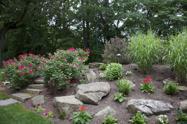 Hillside Landscaping and Steps